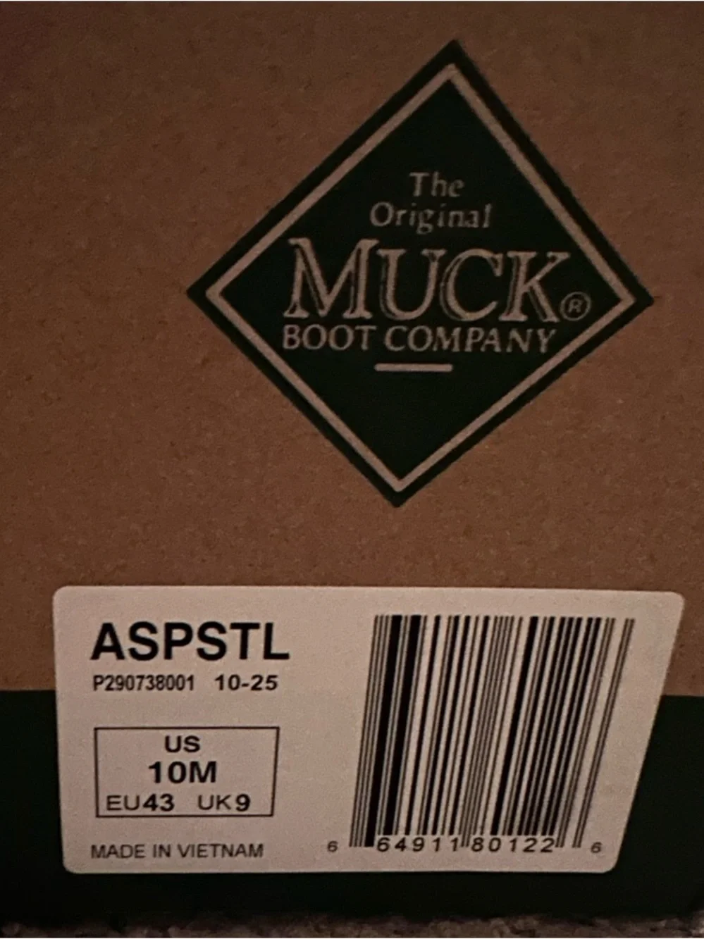 Arctic Sport ST Men's Black Boots